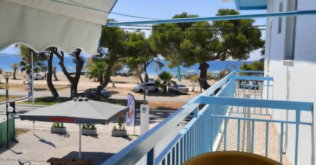 Mimika Studios Πευκί Εξωτερικό φωτογραφία